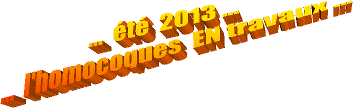 ... été 2013 ...
... l'homocoques EN travaux ...