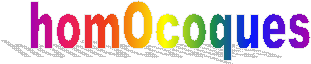 homOcoques  